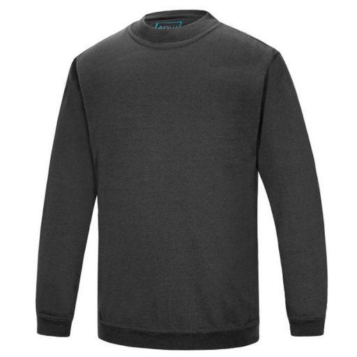 [SS004] AQUA LONG SLEEVE SWEATSHIRT